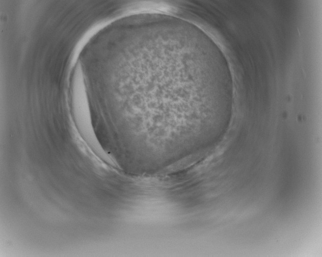 X0000051891104200507081932