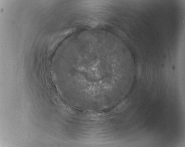 X0000051891105200507081931