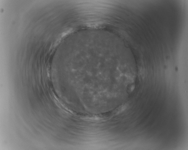 X0000051891106200507081931