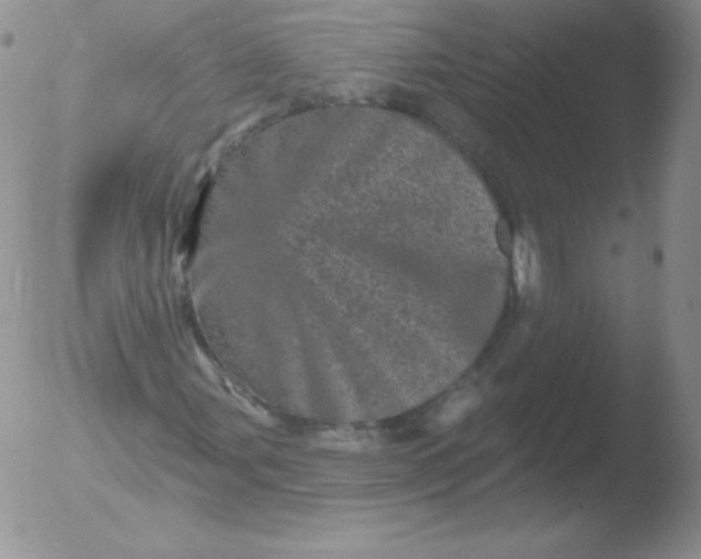 X0000051891107200507081931