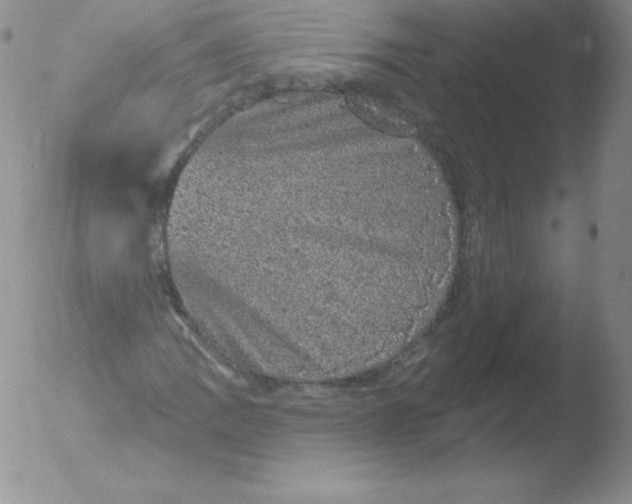 X0000051891109200507081931