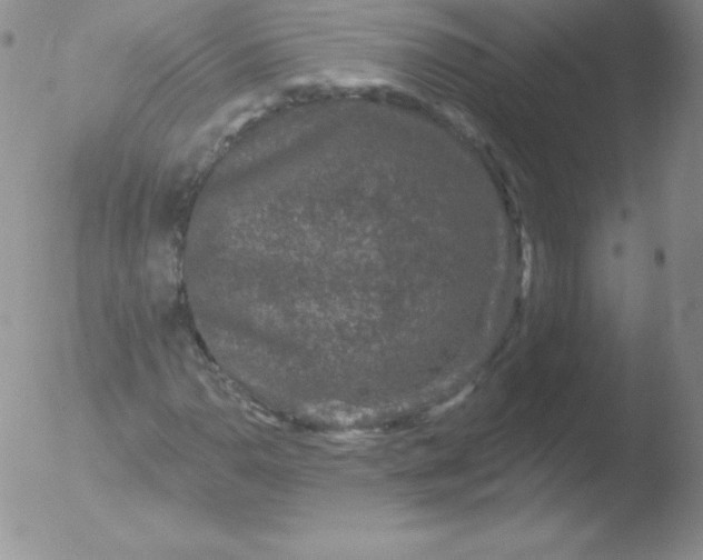 X0000051891110200507081931