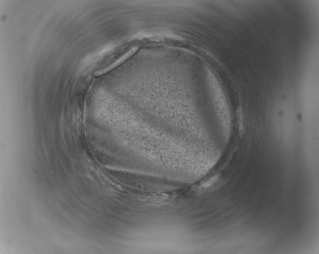 X0000051891111200507081931