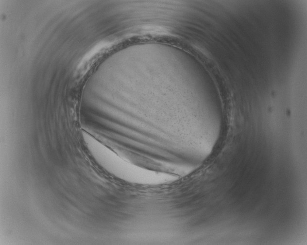 X0000051891112200507081932