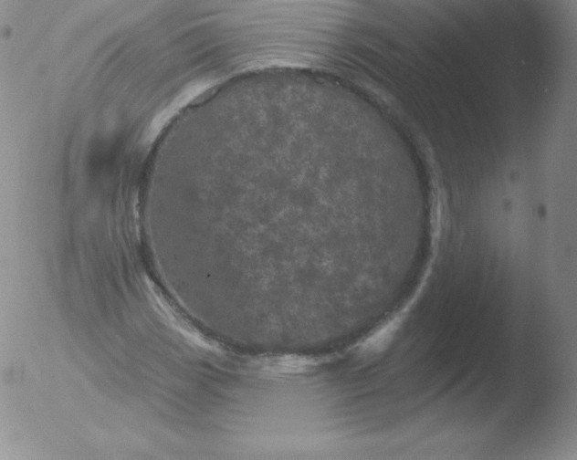 X0000051891113200507081932