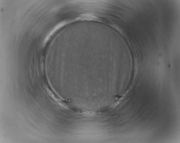 X0000051891115200507081932