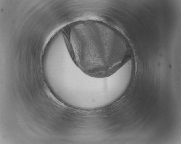 X0000051891116200507081932