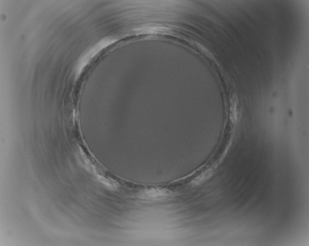 X0000051891117200507081932