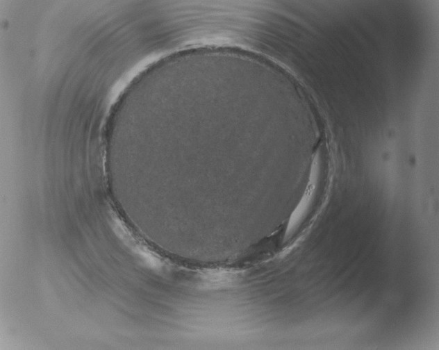 X0000051891118200507081932