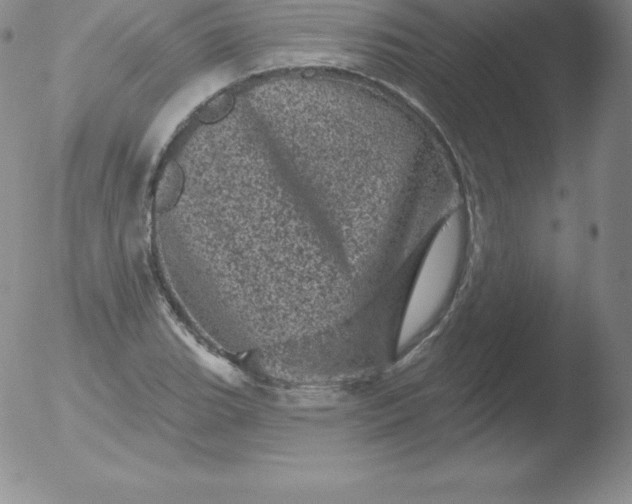 X0000051891119200507081932