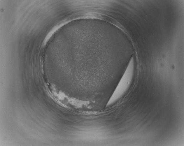 X0000051891120200507081932