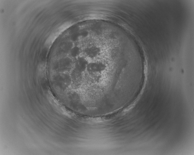 X0000051891121200507081932