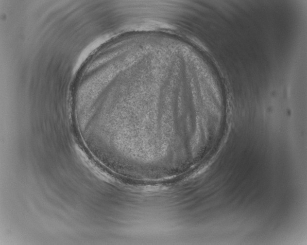 X0000051891122200507081932