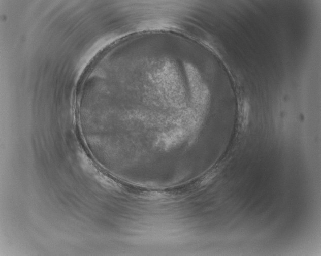 X0000051891124200507081932