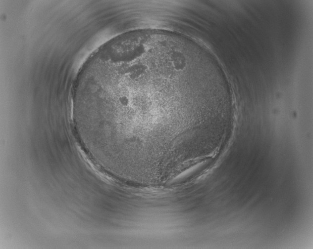 X0000051891125200507081932