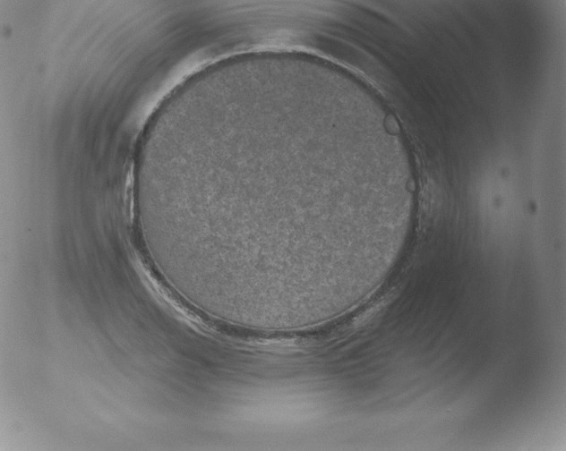 X0000051891126200507081932