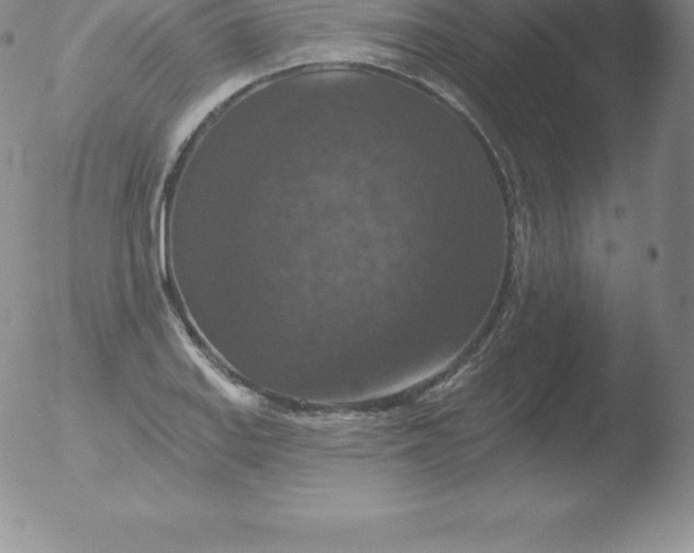 X0000051891127200507081932