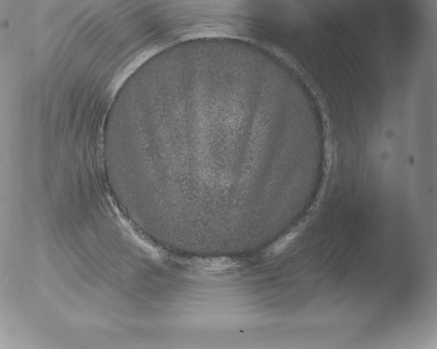 X0000051891129200507081932