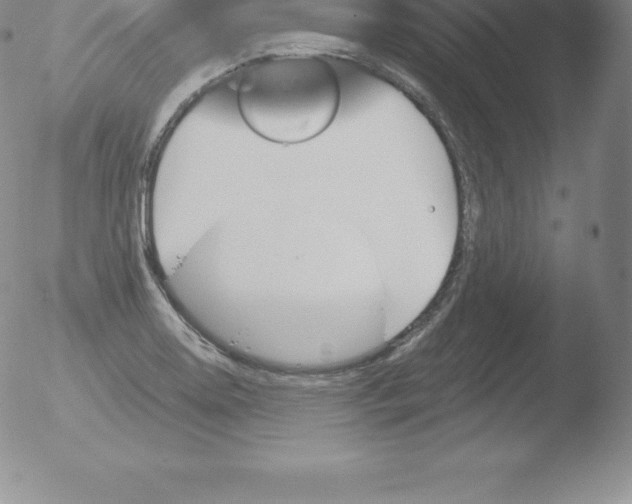 X0000051891130200507081932