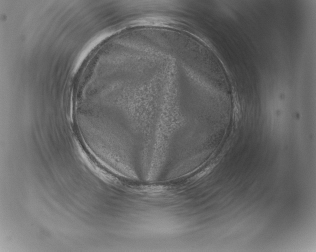 X0000051891131200507081932