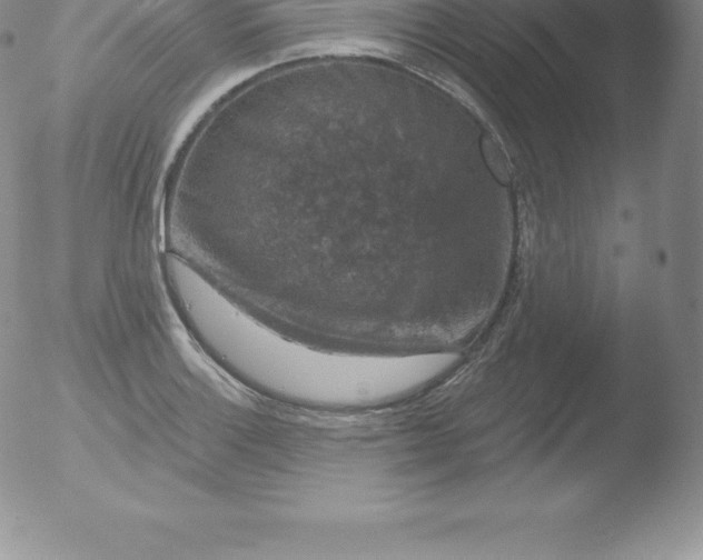 X0000051891132200507081932