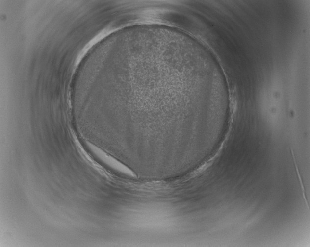 X0000051891133200507081932