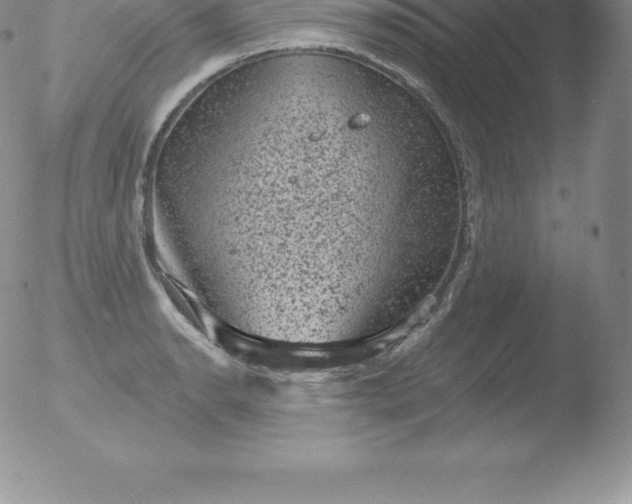 X0000051891134200507081932