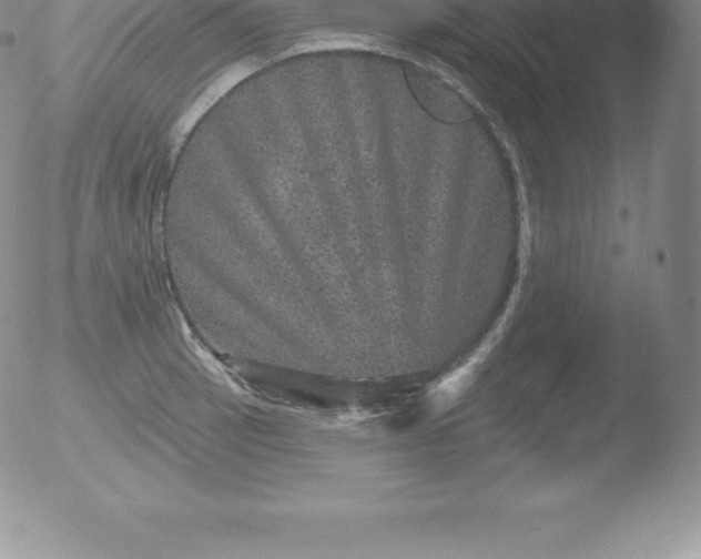 X0000051891137200507081932