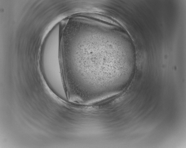 X0000051891139200507081932