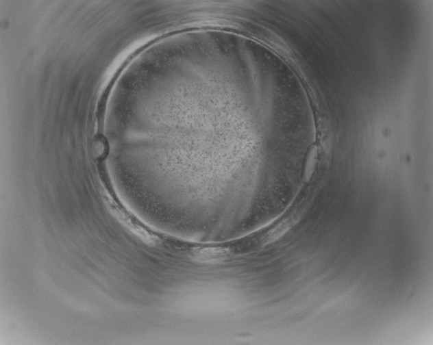 X0000051891140200507081932