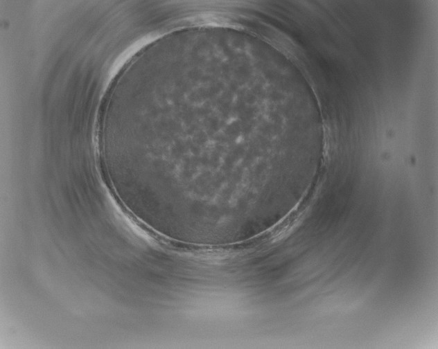 X0000051891141200507081932