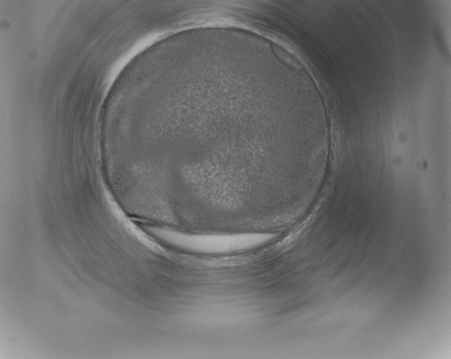 X0000051891142200507081932