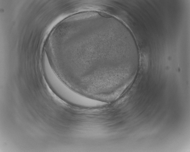 X0000051891143200507081932