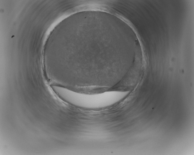 X0000051891144200507081932