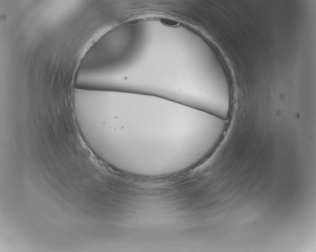 X0000051891145200507081932