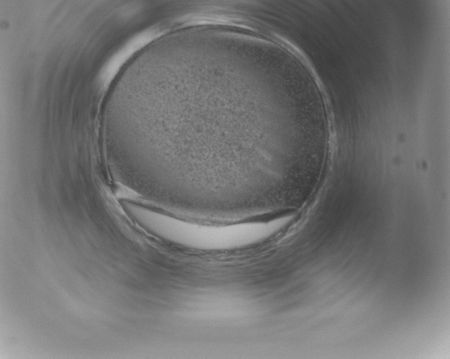 X0000051891146200507081932