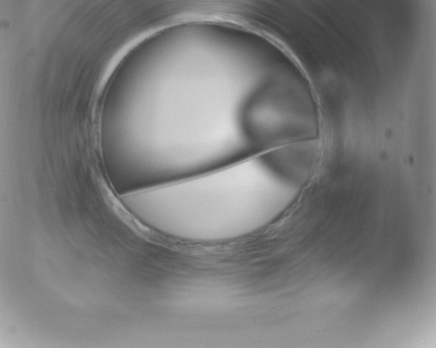 X0000051891148200507081932