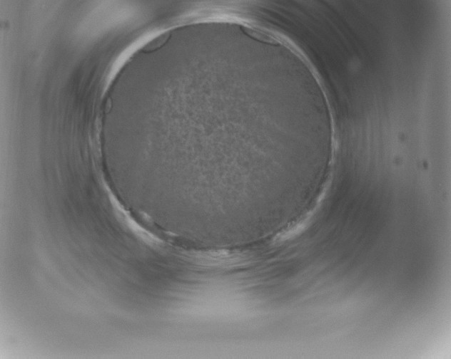 X0000051891149200507081932