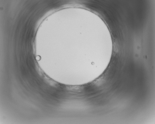 X0000051891150200507081932