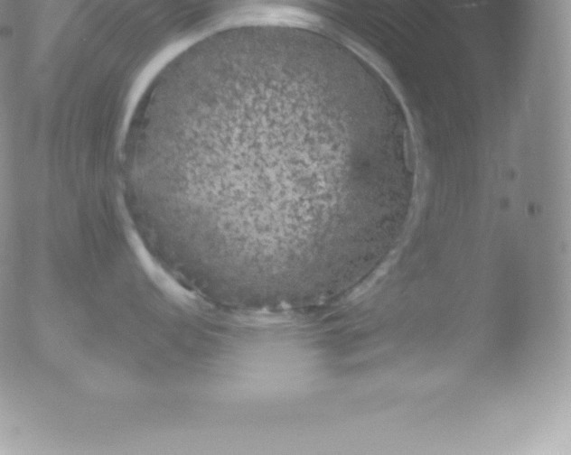 X0000051891152200507081932