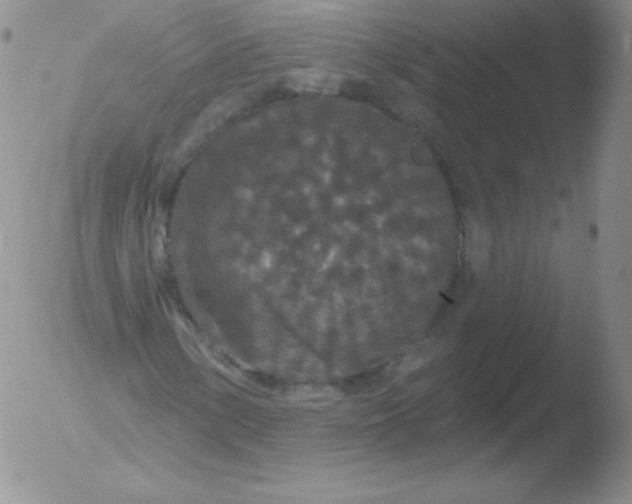 X0000051891154200507081931