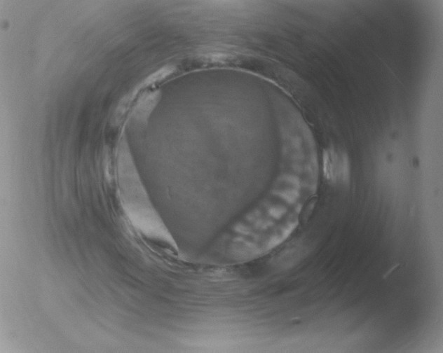 X0000051891155200507081931