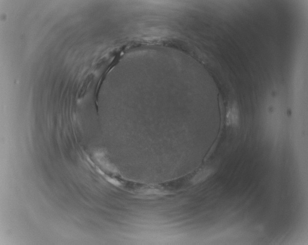 X0000051891156200507081931