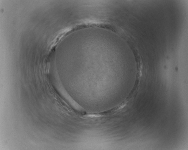 X0000051891157200507081931