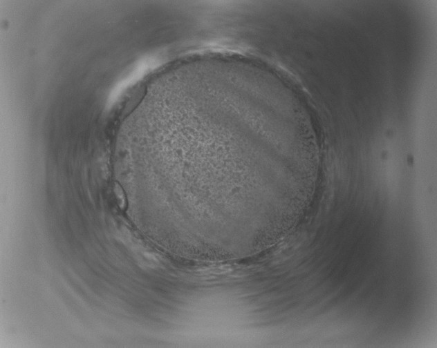 X0000051891159200507081931