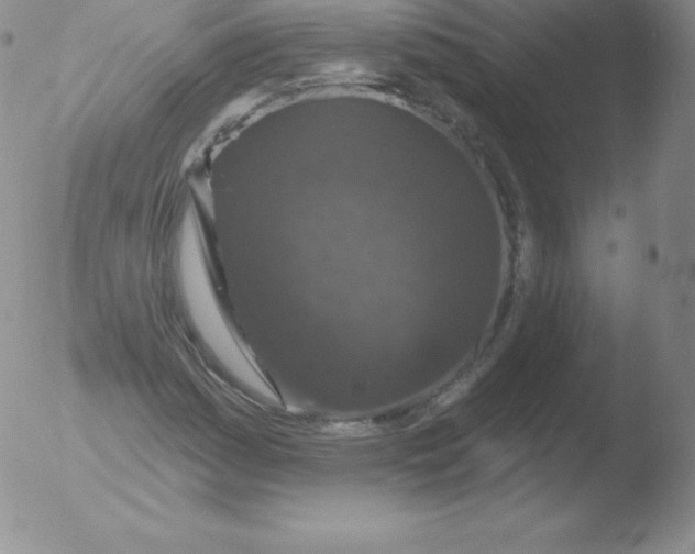 X0000051891161200507081931