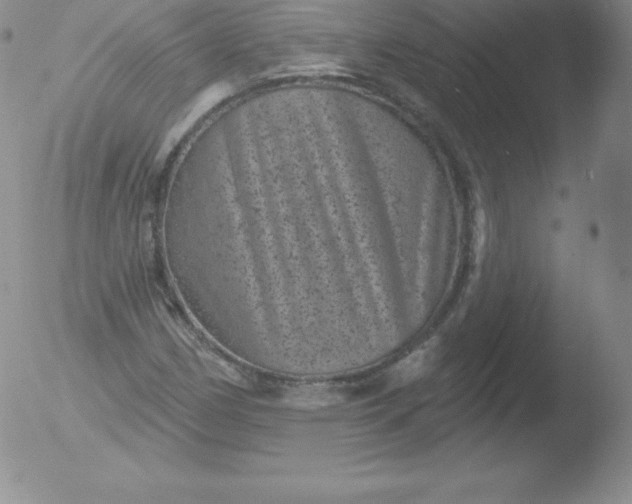 X0000051891162200507081931