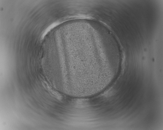 X0000051891163200507081931