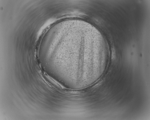 X0000051891164200507081931