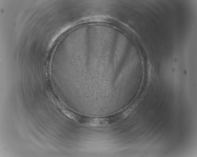 X0000051891166200507081931